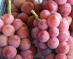 grape04.jpg